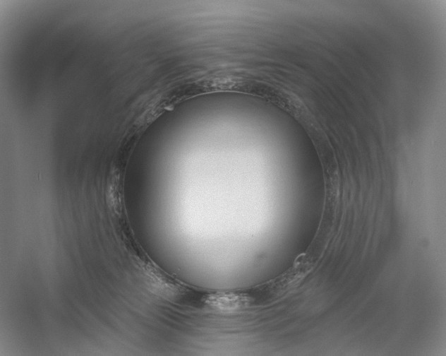 X0000060560181200511171615