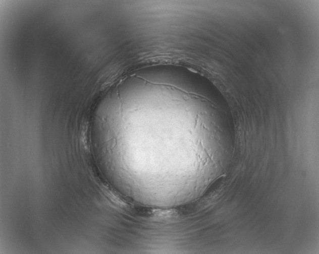 X0000060560185200511171615