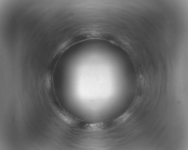 X0000060560188200511171615