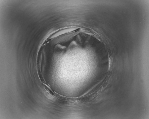 X0000060560195200511171614