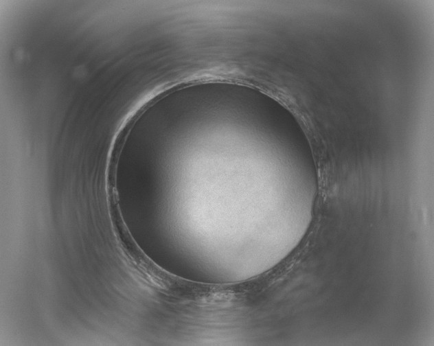 X0000060560196200511171614