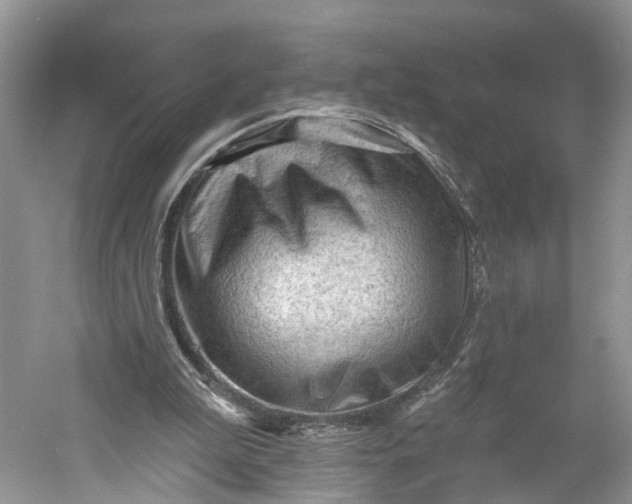 X0000060560199200511171614