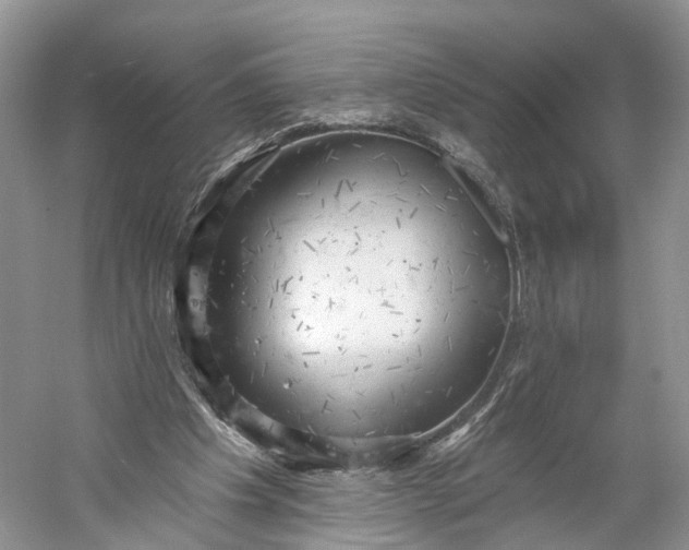 X0000060560201200511171614