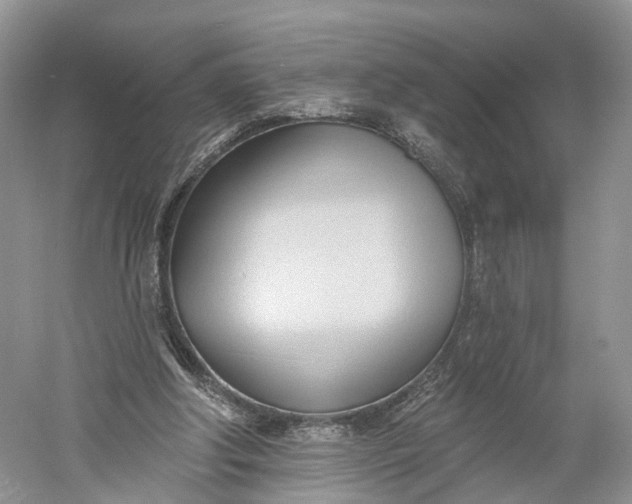 X0000060560202200511171614