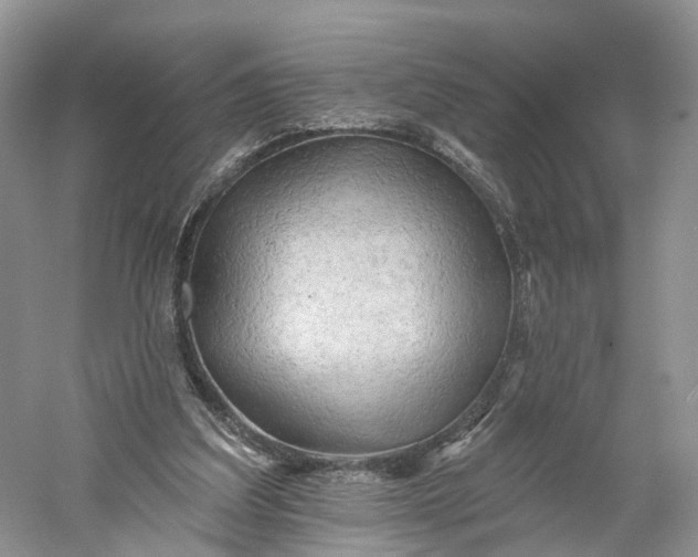 X0000060560203200511171614