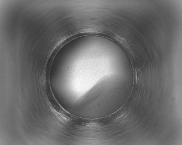X0000060560204200511171614