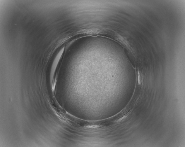 X0000060560205200511171614