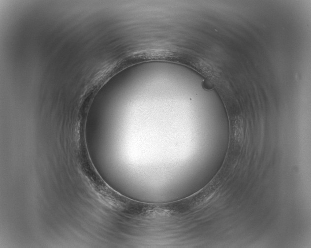 X0000060560206200511171614