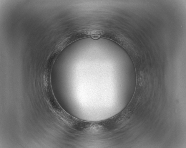 X0000060560210200511171614