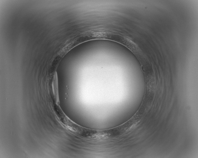X0000060560213200511171614