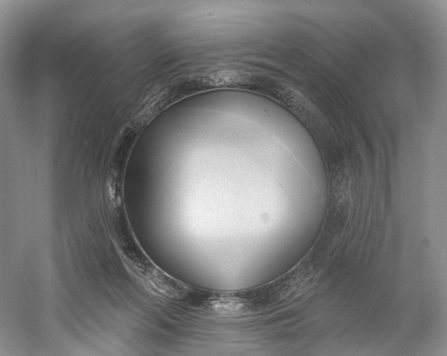 X0000060560214200511171614