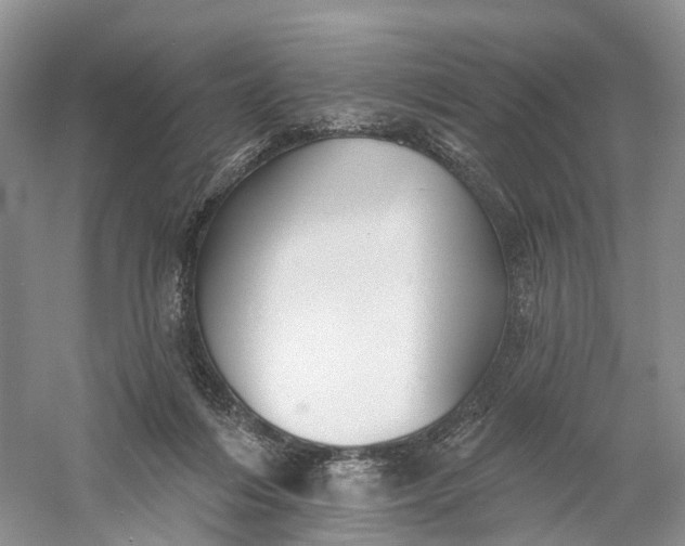 X0000060560216200511171614