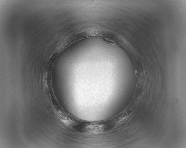 X0000060560217200511171614
