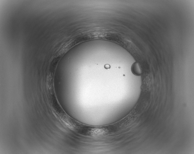 X0000060560218200511171614