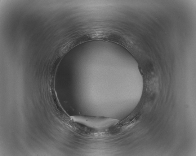X0000060560219200511171614