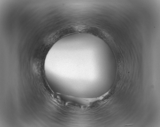 X0000060560221200511171614