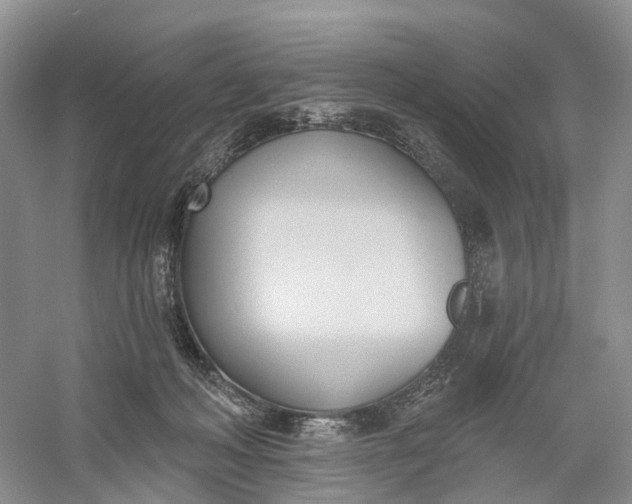 X0000060560222200511171614