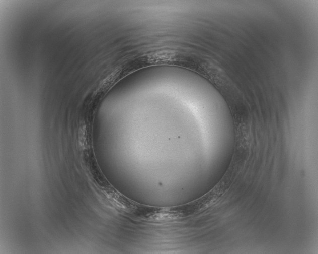 X0000060560224200511171614