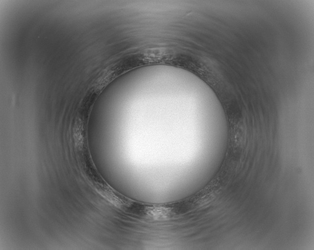 X0000060560226200511171614