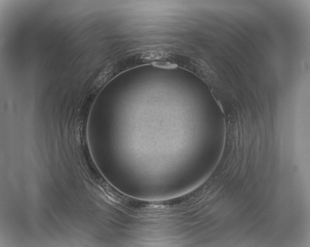 X0000060560227200511171614