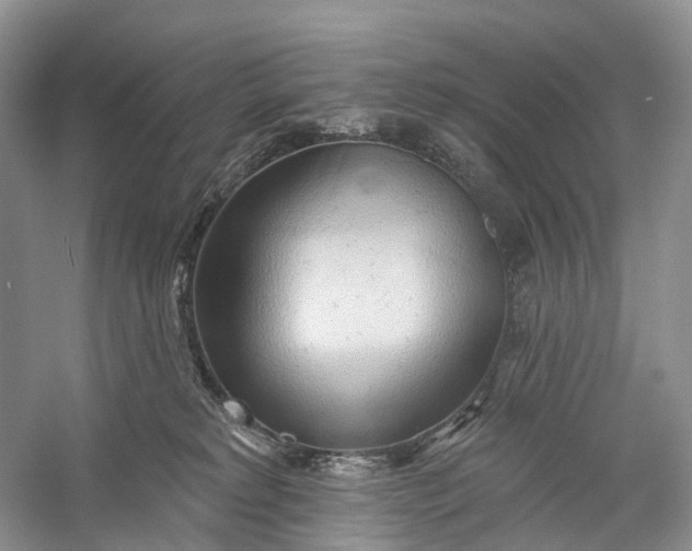 X0000060560229200511171613