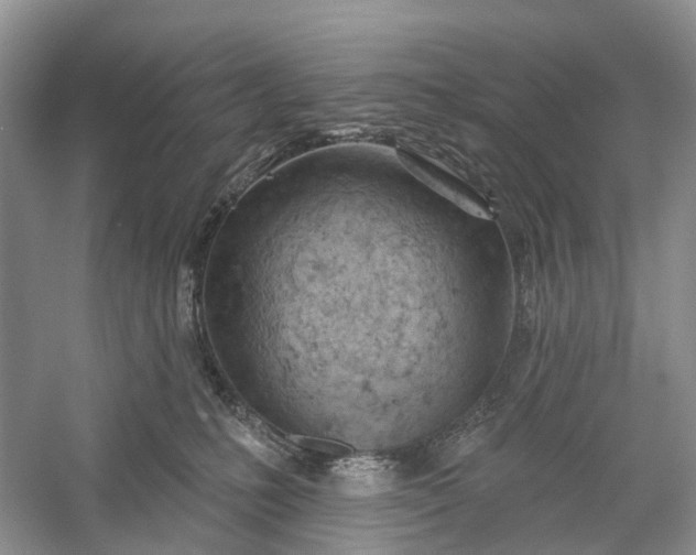 X0000060560231200511171613