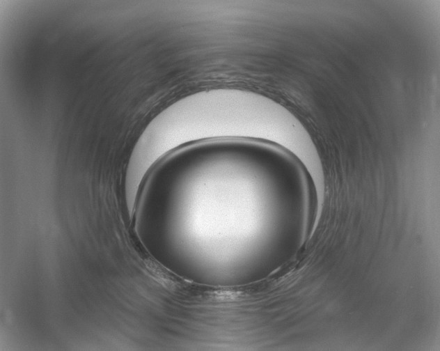 X0000060560233200511171613