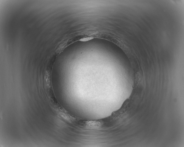 X0000060560234200511171613
