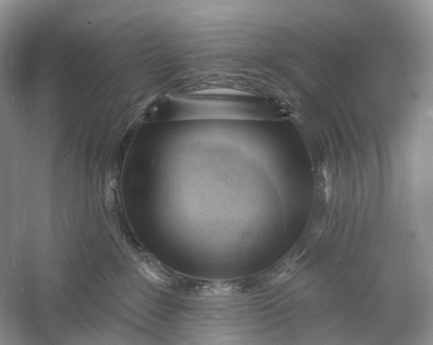 X0000060560235200511171613