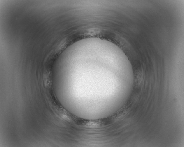 X0000060560236200511171613