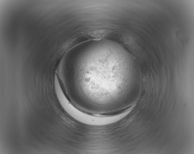 X0000060560237200511171613