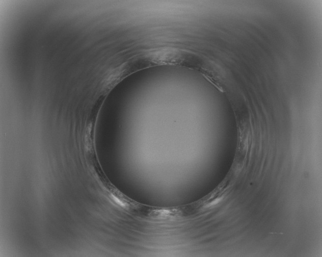 X0000060560239200511171613