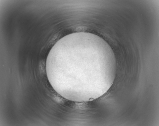 X0000060560240200511171613