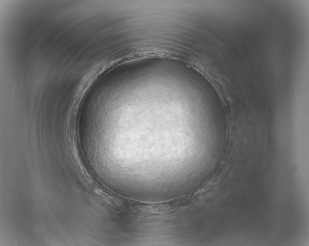 X0000060560241200511171612