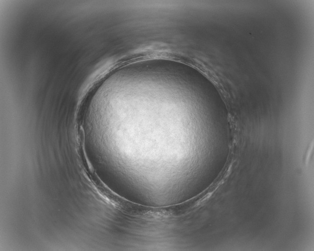 X0000060560245200511171613