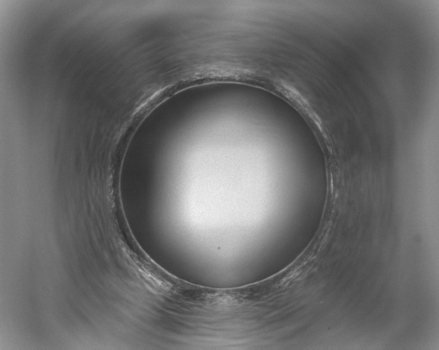 X0000060560249200511171613
