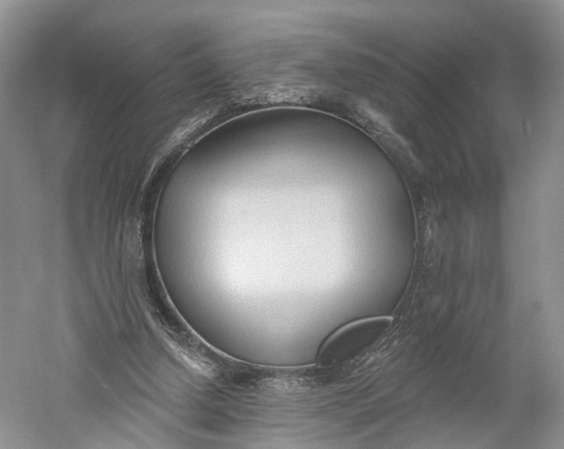X0000060560250200511171613