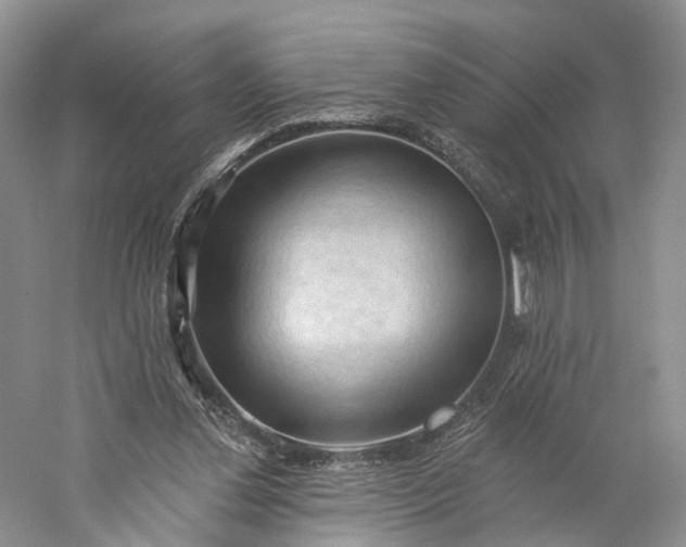 X0000060560252200511171613