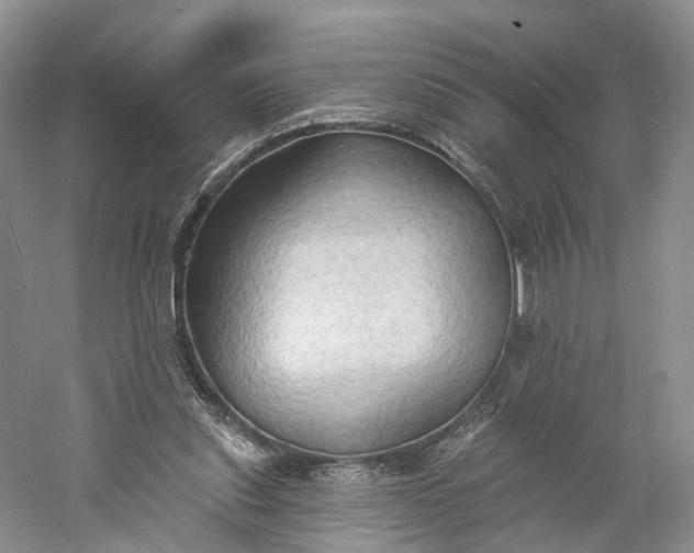 X0000060560253200511171613