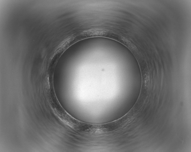 X0000060560254200511171613