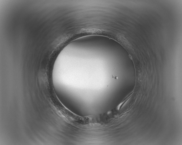 X0000060560256200511171613