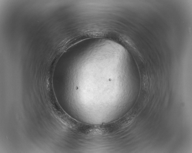 X0000060560259200511171613