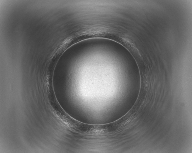 X0000060560260200511171613