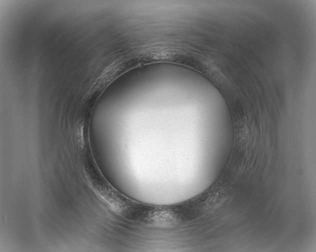 X0000060560262200511171613