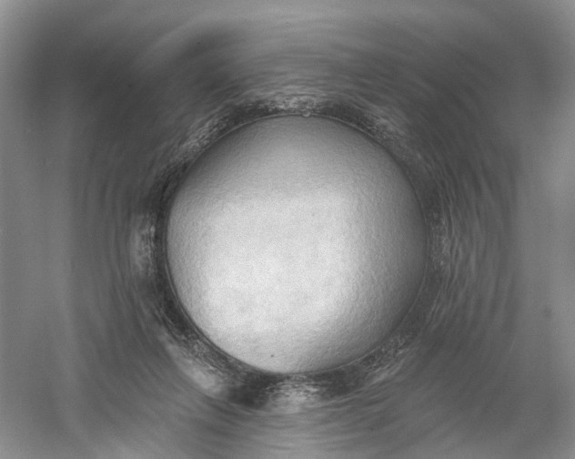 X0000060560263200511171613