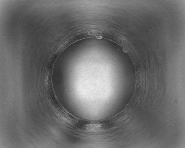 X0000060560266200511171613