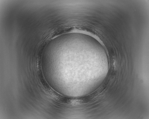 X0000060560268200511171613