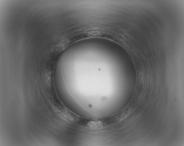 X0000060560271200511171613