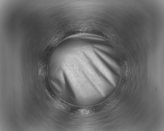 X0000060560272200511171613