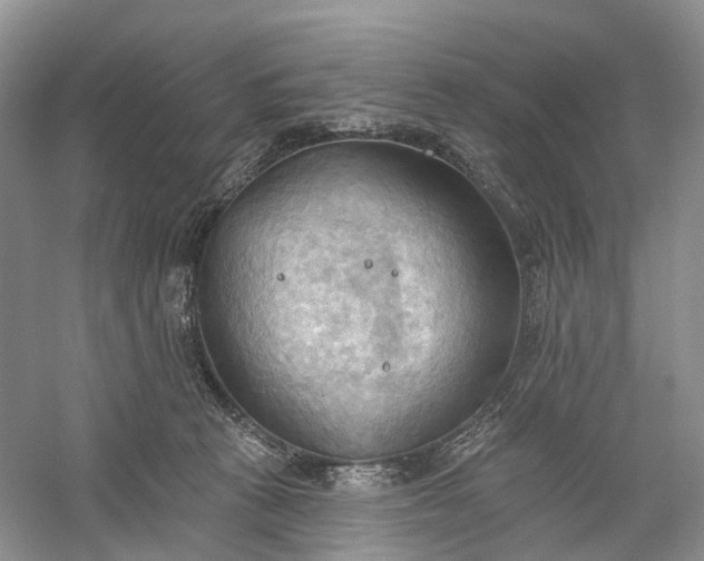 X0000060560273200511171613